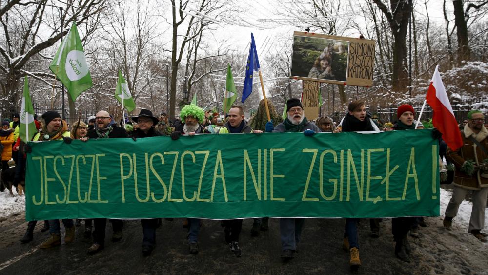 Puszcza Protests