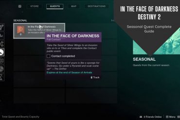 In the face of darkness Destiny 2