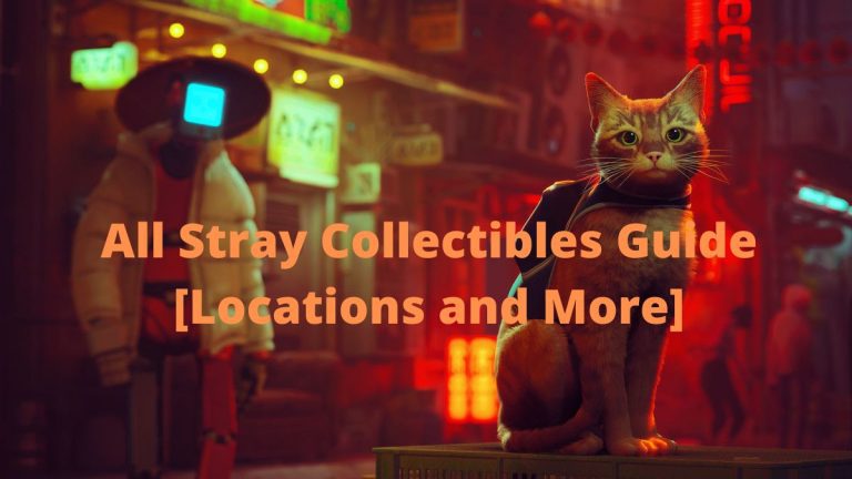 All Stray Collectibles Guide [Locations and More]