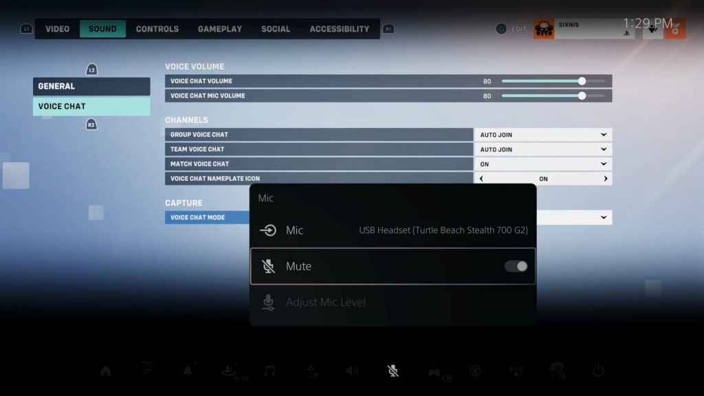 MIC Settings ON PS5