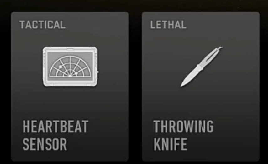 TAQ-56 Equipment in Warzone 2 loadout