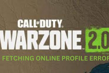 Warzone 2 Fetching Online Profile