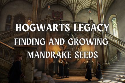 mandrake seeds