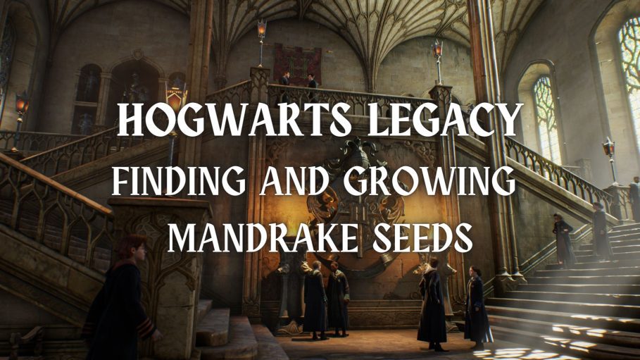 mandrake seeds