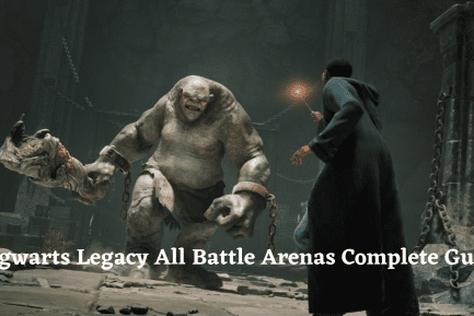 Battle Arenas In Hogwarts Legacy