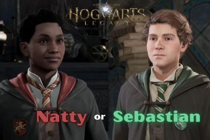 Hogwarts Legacy Natty or Sebastian