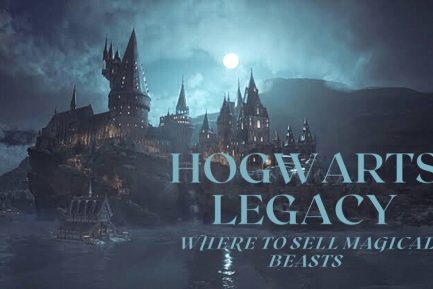 Hogwarts Legacy Where To Sell Magical Beasts