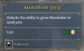 Mandrake seeds priced at 800 galleons