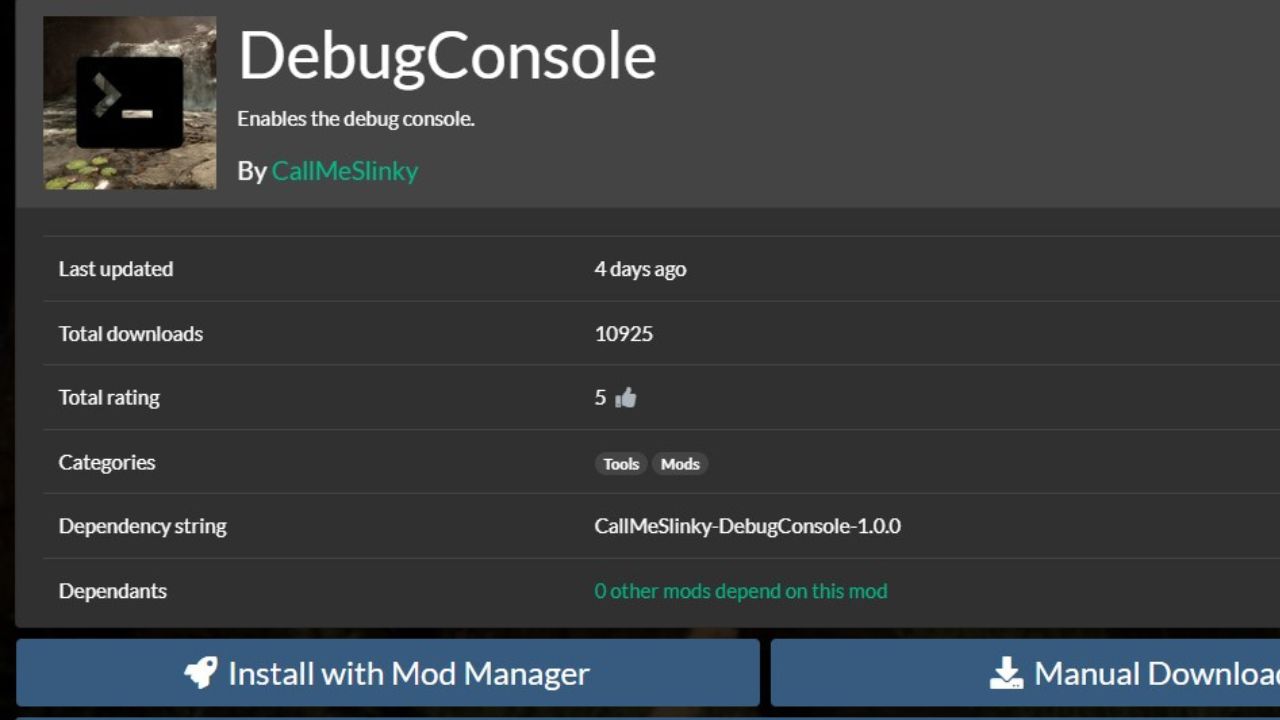 Debug Console