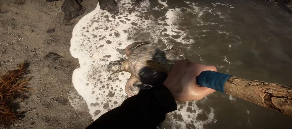 Hunting a Turtle in Summer on the Beach