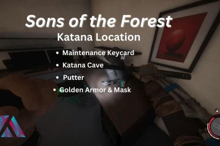 SOTF Katana Cover