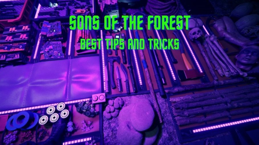 Sons of the Forest Tips and Tricks Cover