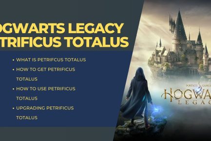 Hogwarts Legacy Petrificus Totalus