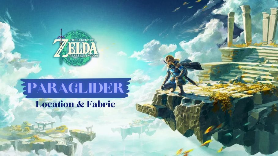 Paraglider in Legends Of Zelda: Tears Of The Kingdom
