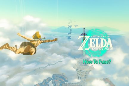 Zelda Tears of Kingdom Fuse Cover Picture