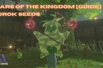 korok seeds tears of the kingdom