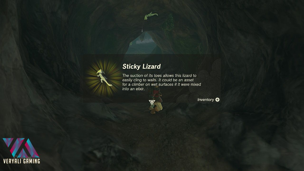 Sticky Lizard Tears of the kingdom