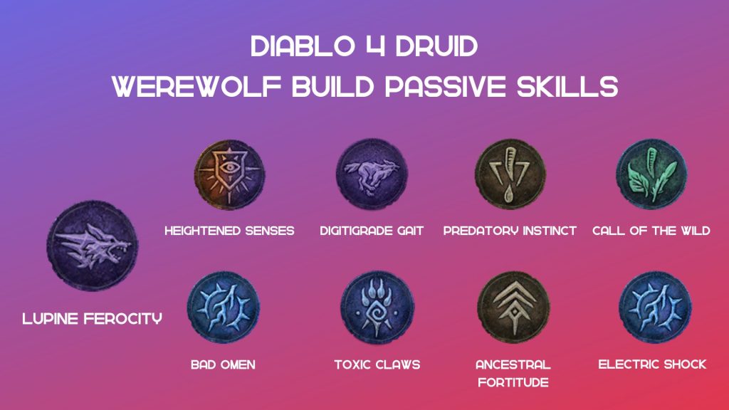 Druid build Passive Skills.