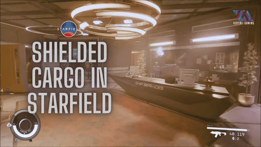 Starfield Shielded Cargo Hold