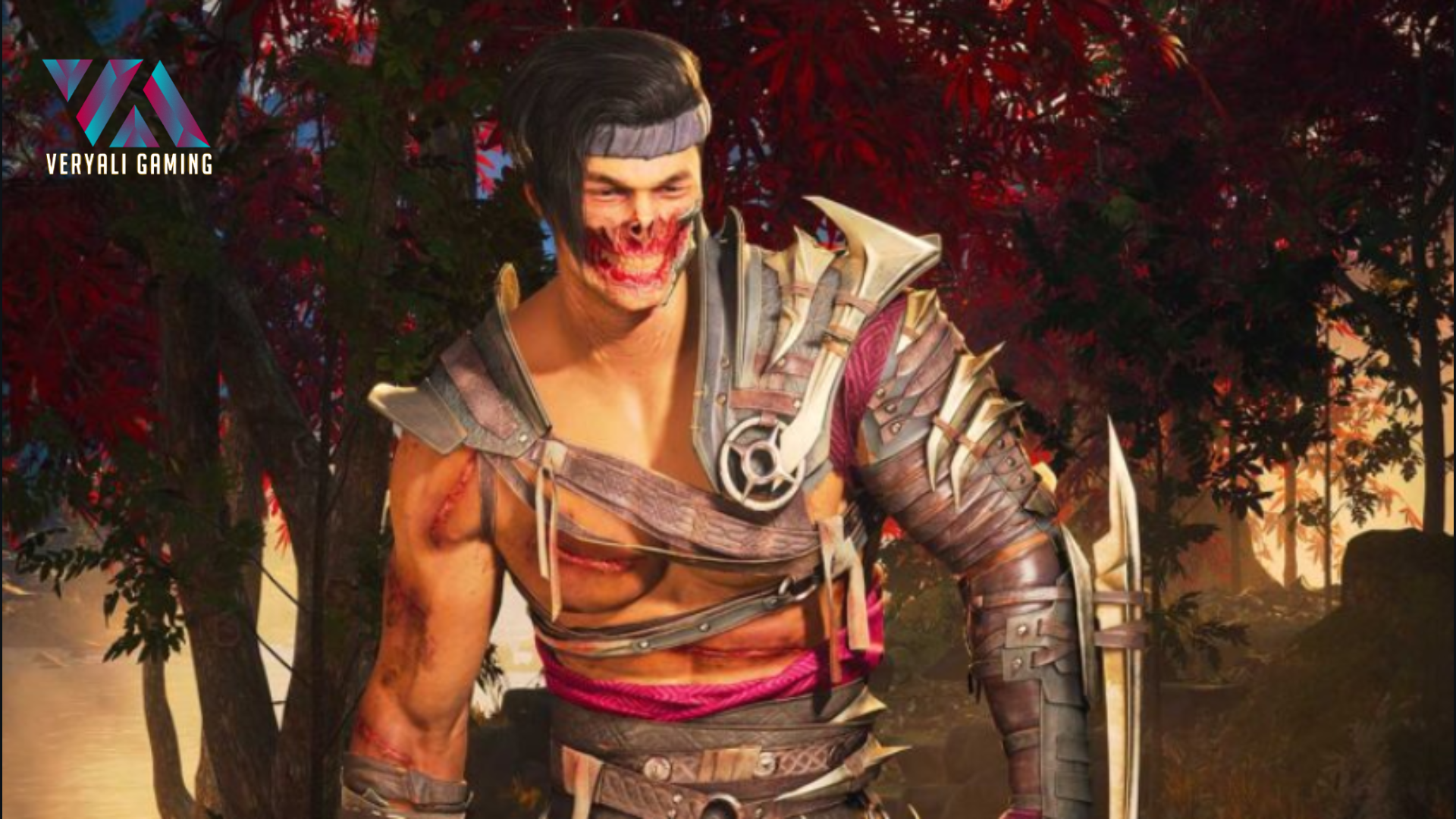 havik in mortal kombat 1