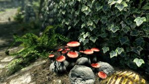 Plants in Skyrim